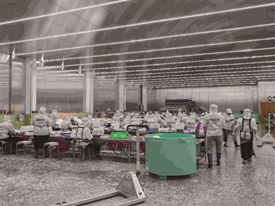 新建就业车间拓宽增收路，农副产品加工助力乡村振兴