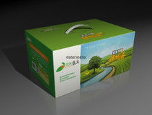 绿色农副产品 自然馈赠的健康之选